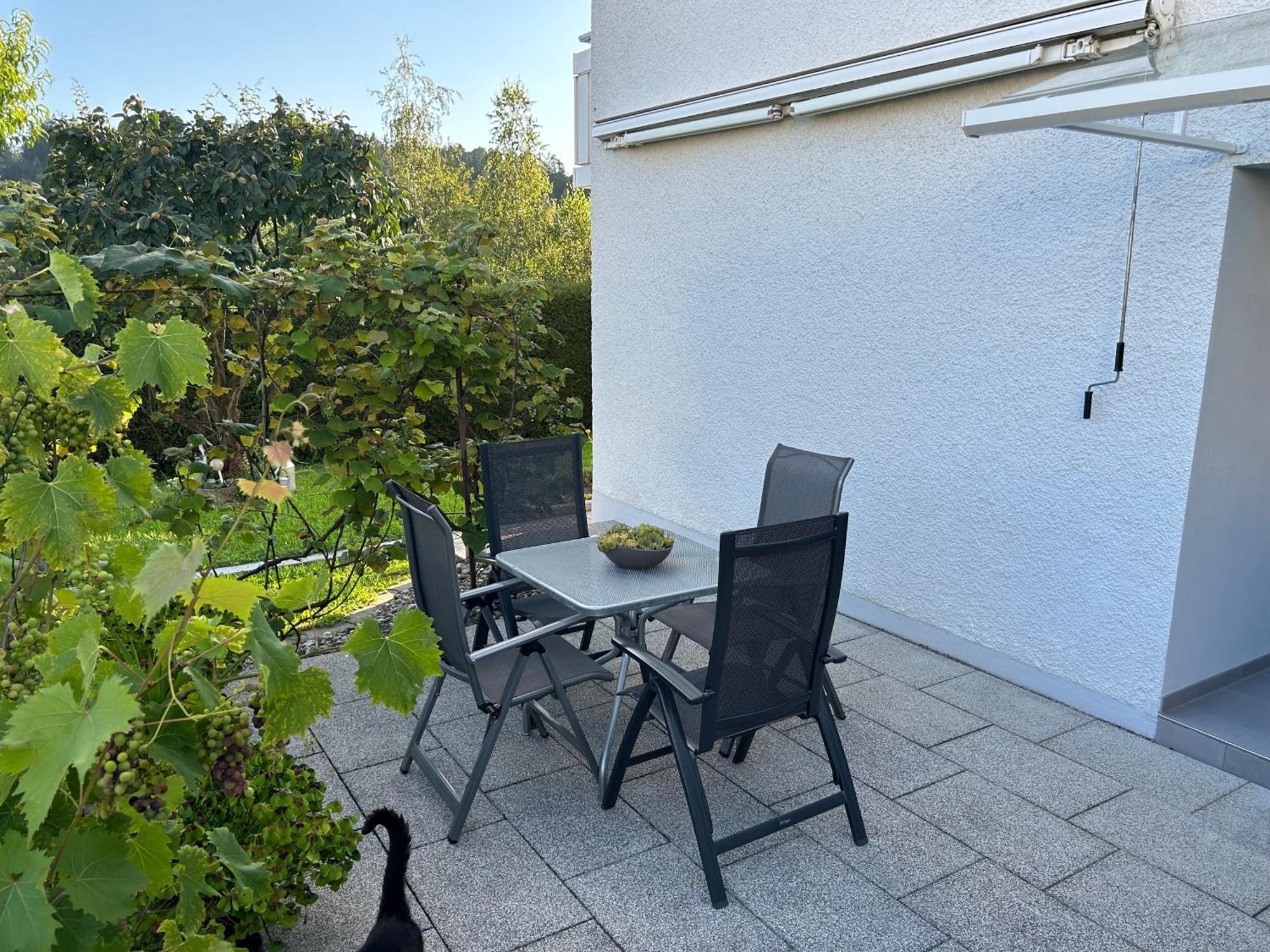 ראפנסבורג Ferienwohnung Stadtnah Im Gruenen מראה חיצוני תמונה